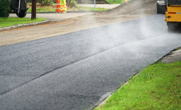 Best Professional Driveway Pavers  in Mamou, LA