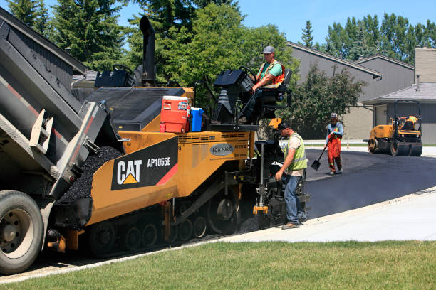 Best Local Driveway Pavers  in Mamou, LA