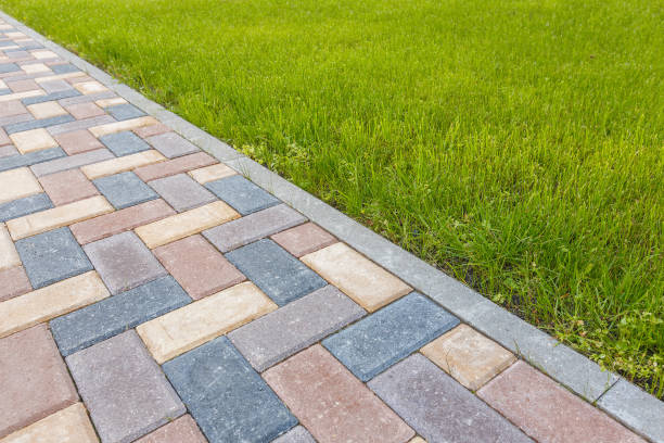 Best Driveway Paving Near Me  in Mamou, LA